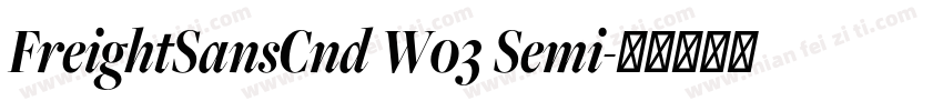FreightSansCnd W03 Semi字体转换